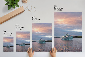 Poster Ice sculpture