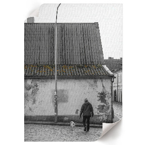 Decorative poster City walk