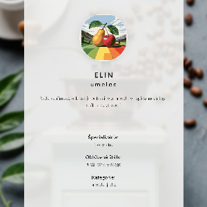 Decorative poster Kitchen spices