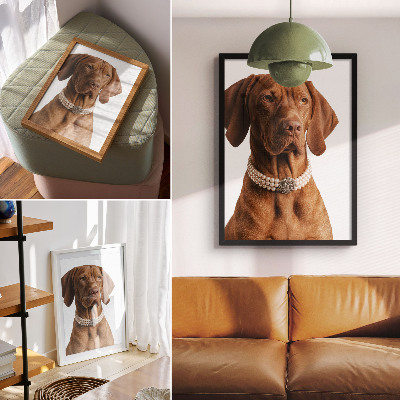 Poster Luxury dog