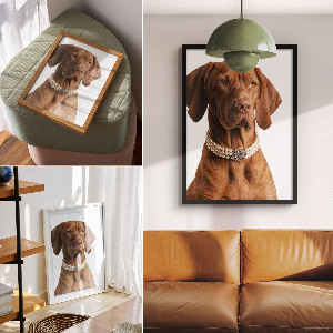 Poster Luxury dog