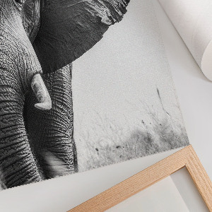 Decorative poster Elephant head