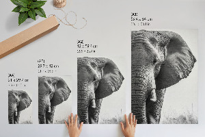 Decorative poster Elephant head