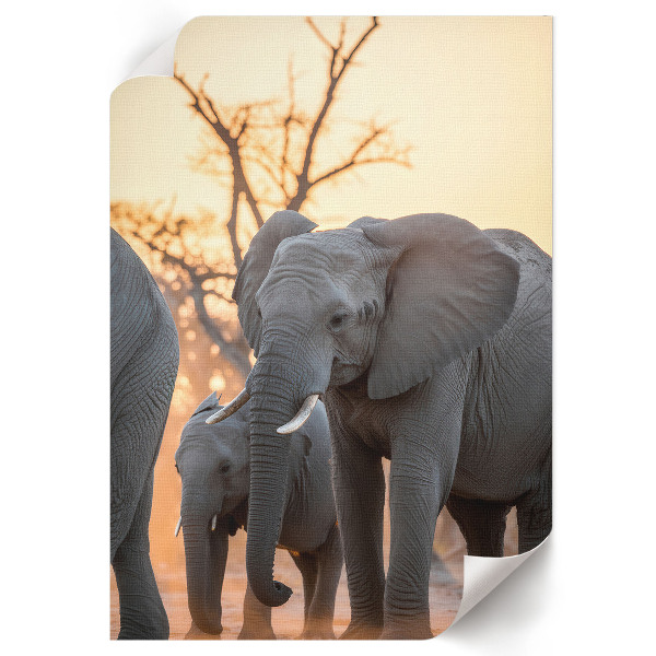Wall art African elephants
