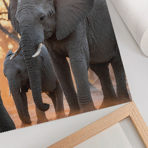 Wall art African elephants