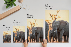 Wall art African elephants