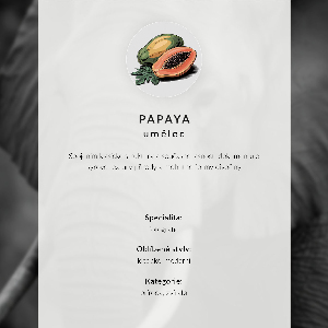 Wall art African elephants