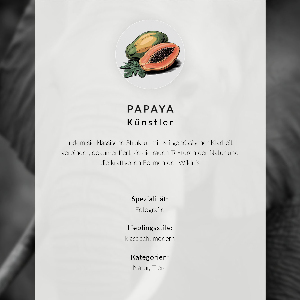 Wall art African elephants