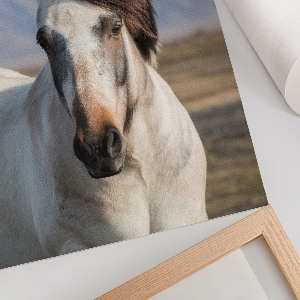 Decorative poster A horse with a mane