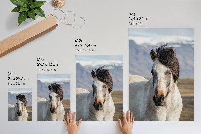 Decorative poster A horse with a mane