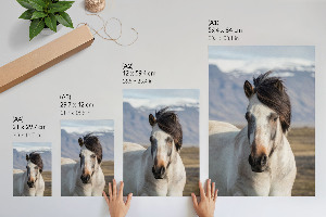 Decorative poster A horse with a mane