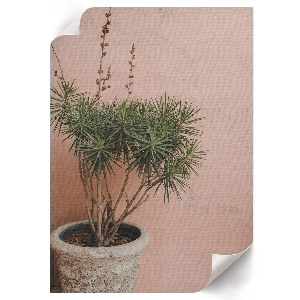 Wall print Potted plant