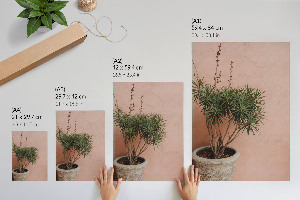 Wall print Potted plant