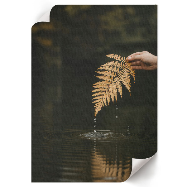 Art print Fern and water