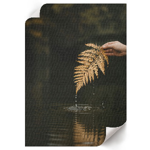 Art print Fern and water