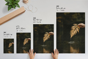 Art print Fern and water