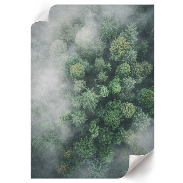 Wall art Forest fog