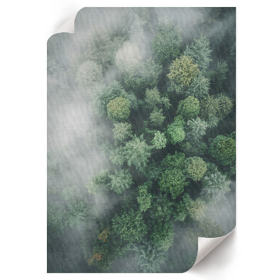 Wall art Forest fog