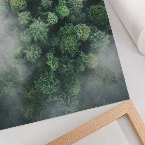 Wall art Forest fog