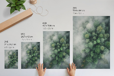 Wall art Forest fog