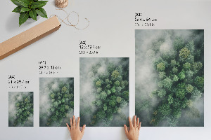 Wall art Forest fog