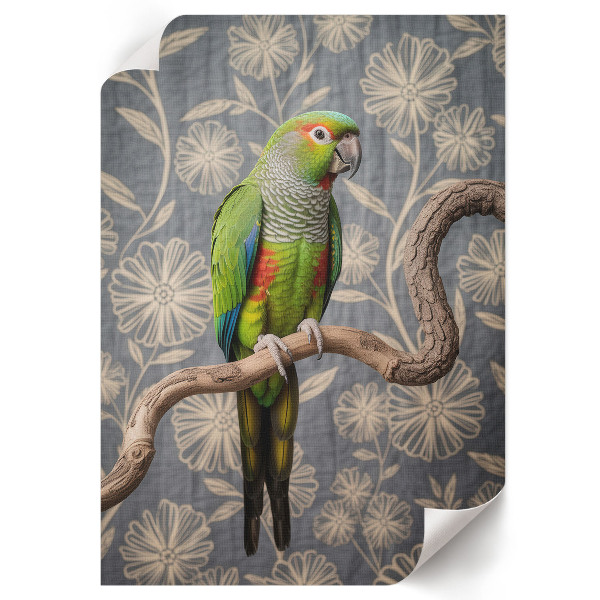 Art print Colorful parrot