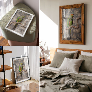 Art print Colorful parrot