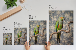 Art print Colorful parrot