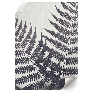 Wall art Fern leaves