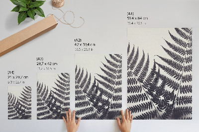 Wall art Fern leaves