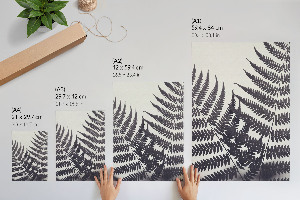 Wall art Fern leaves