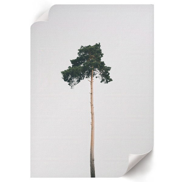 Wall print Lonely tree