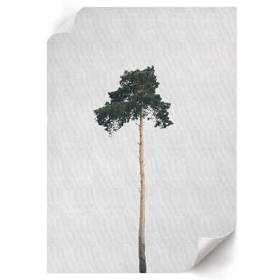Wall print Lonely tree
