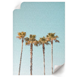 Art print Tropical palm trees