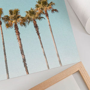Art print Tropical palm trees