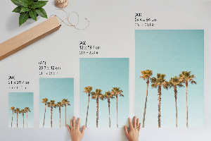 Art print Tropical palm trees