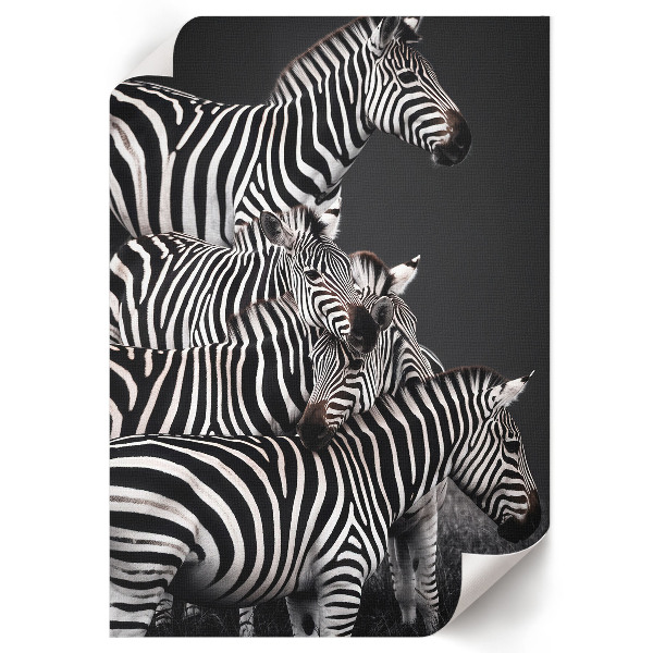 Poster Zebra safari