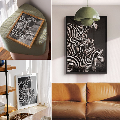 Poster Zebra safari
