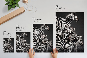 Poster Zebra safari