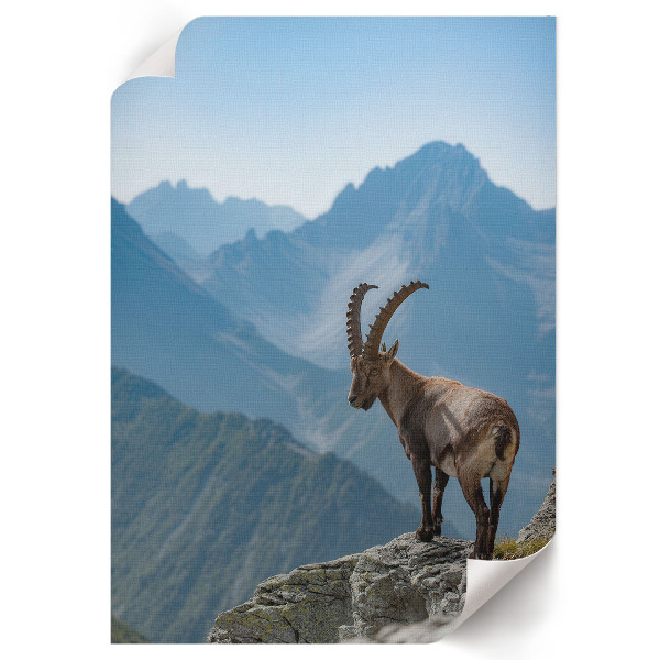 Poster Mountain nature