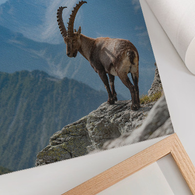 Poster Mountain nature