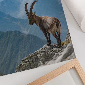 Poster Mountain nature