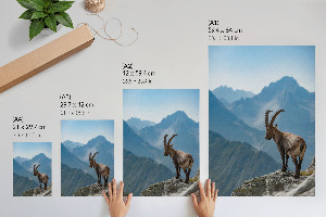 Poster Mountain nature