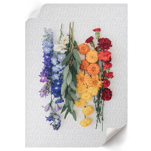 Colorful flowers wall print