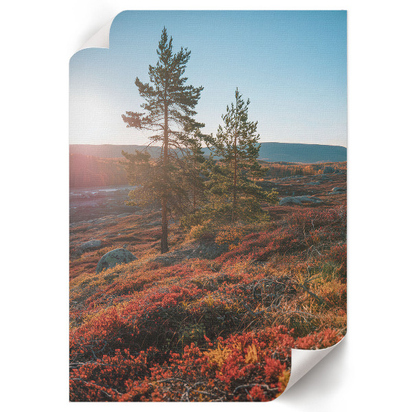 Wall art titled "Autumn Harmony"