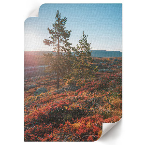 Wall art Autumn harmony