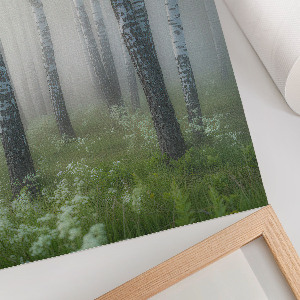 Wall print featuring a birch forest