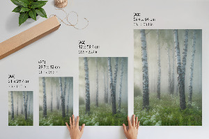 Wall print featuring a birch forest
