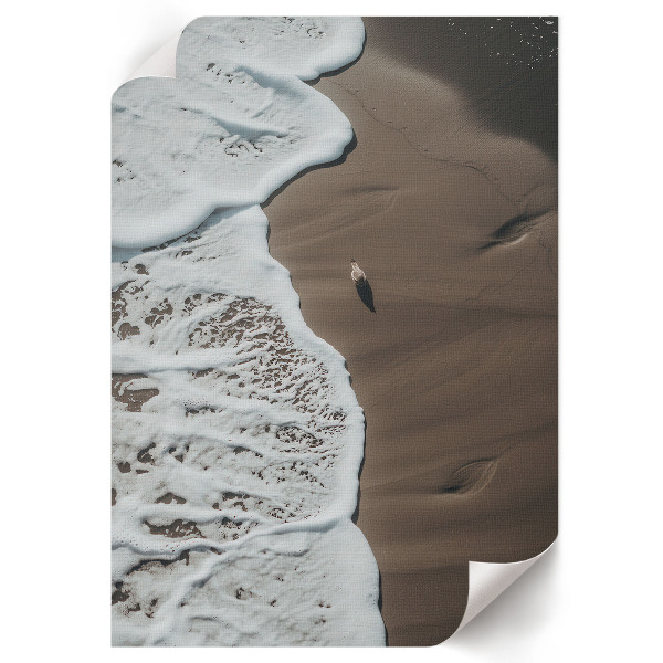 Poster featuring a beach nature scene