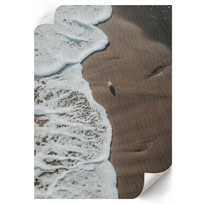 Poster Beach nature